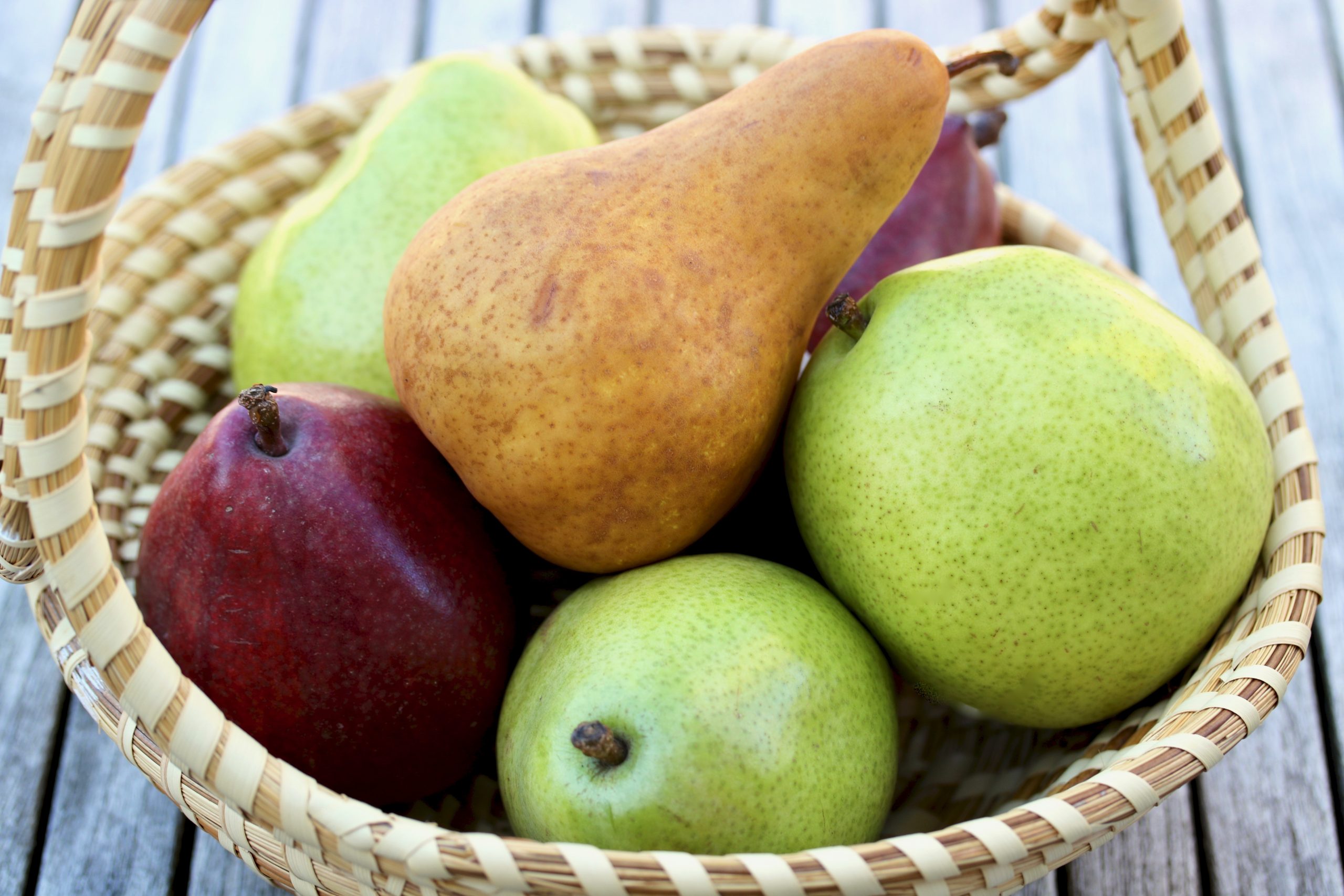 basket of pears in red, green and brown