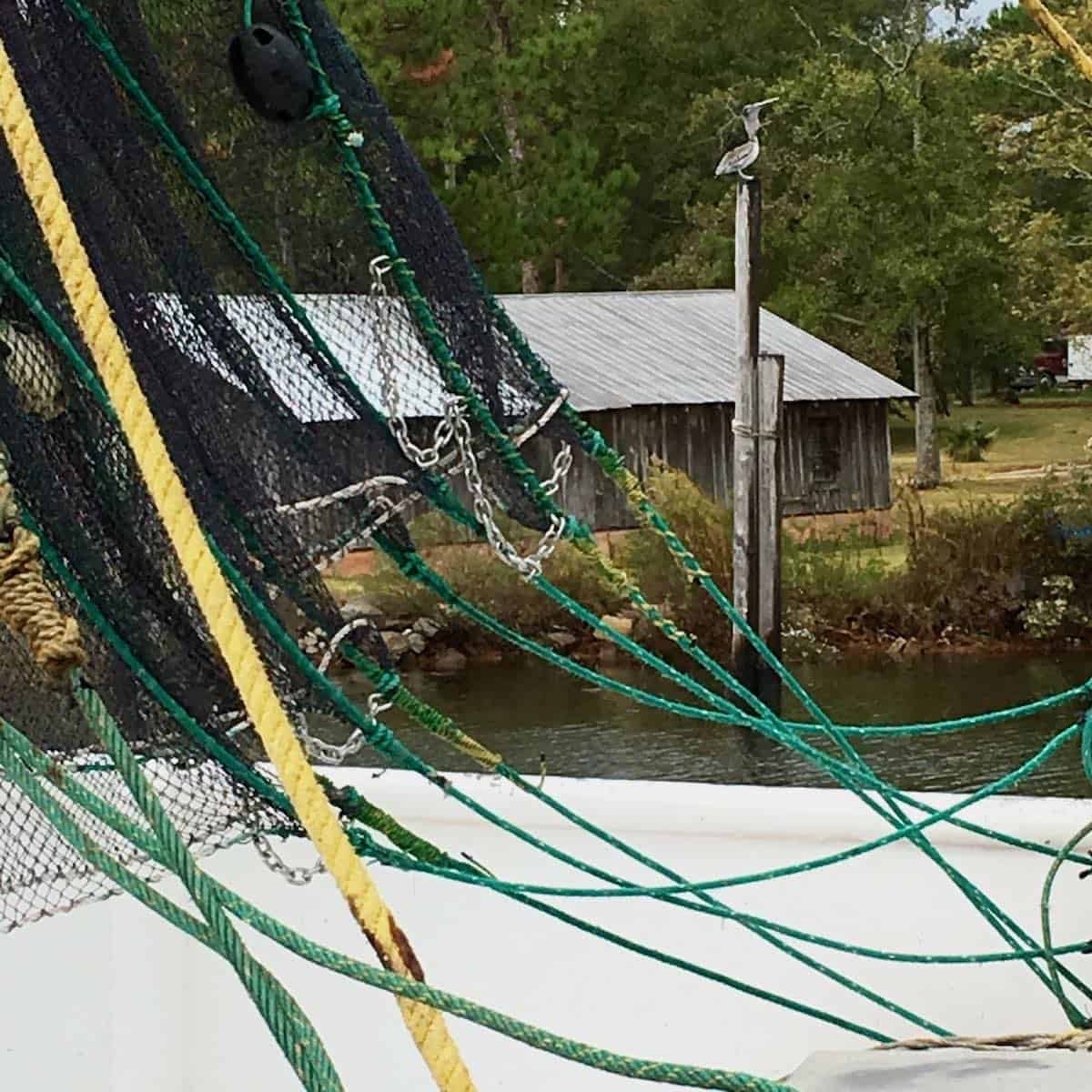 Alabama seaport scenery.