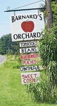 Barnard's orchard sign.