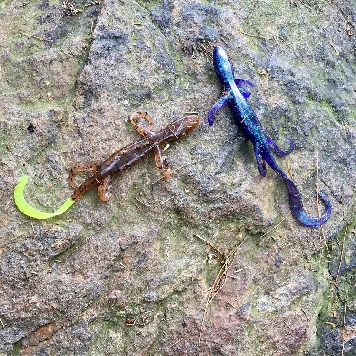 Lake Elise fishing gear left behind on a rock.