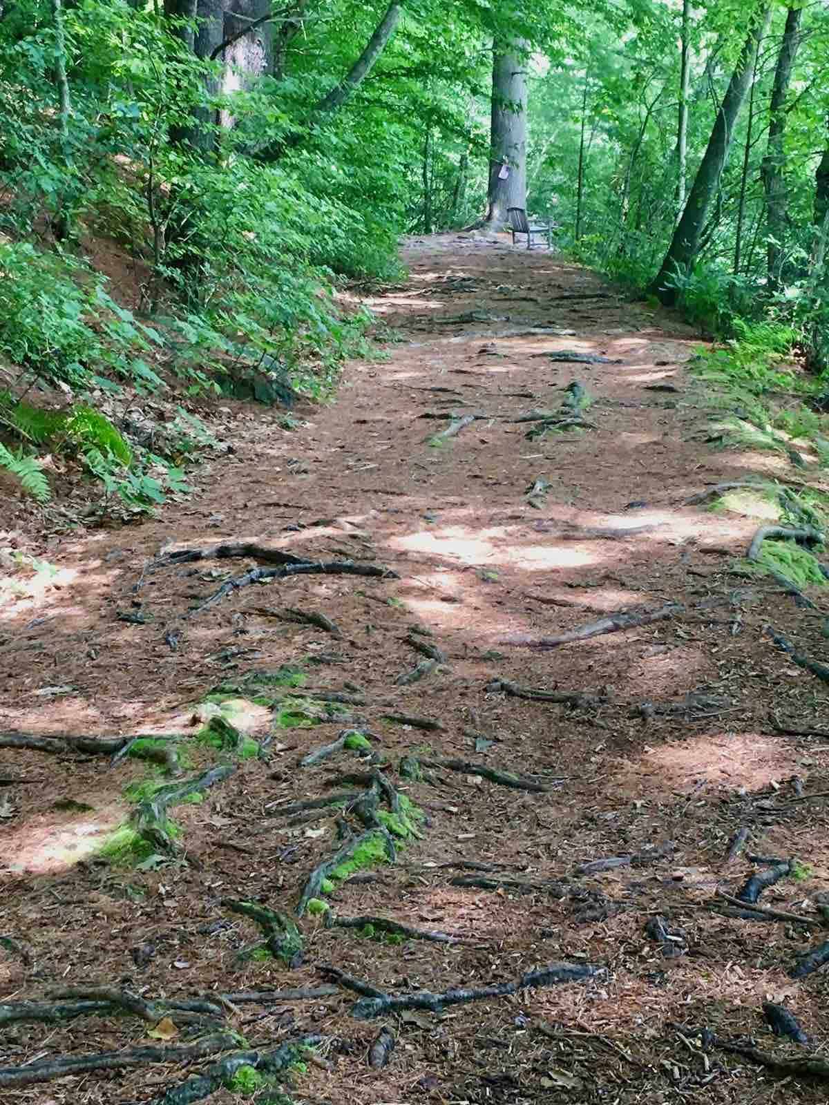 path at Lake Elise to the bench