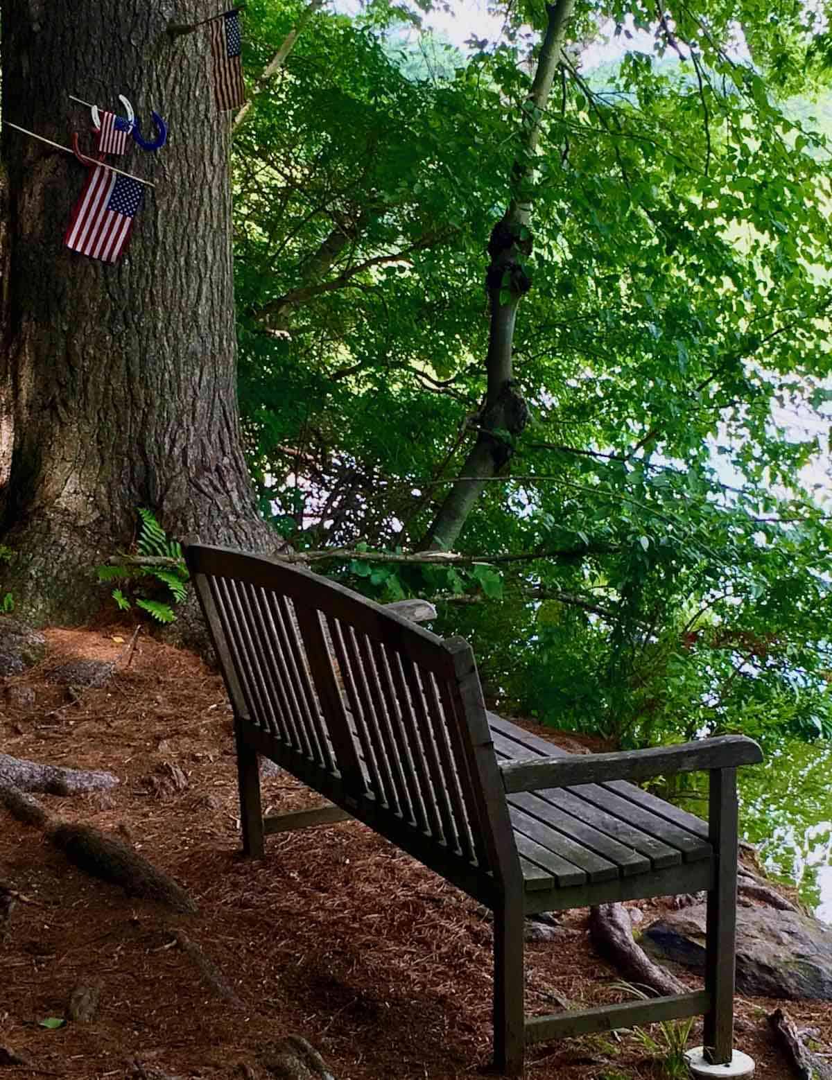 The view from Will's bench at Lake Elise.