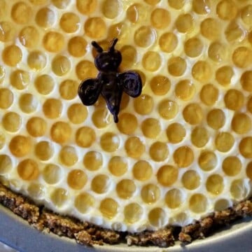 Elderberry honeycomb pie.
