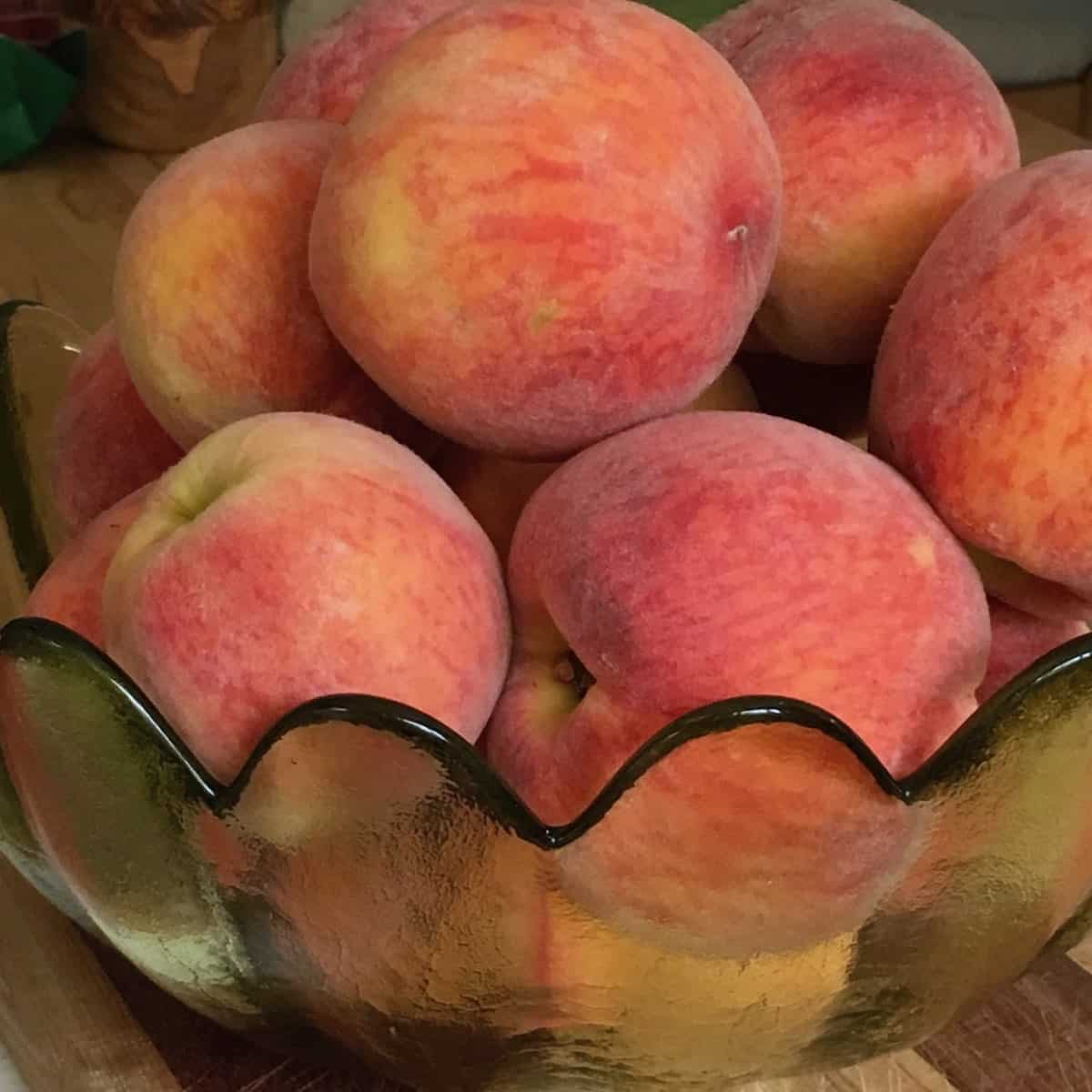 Bowl of fresh picked peaches.