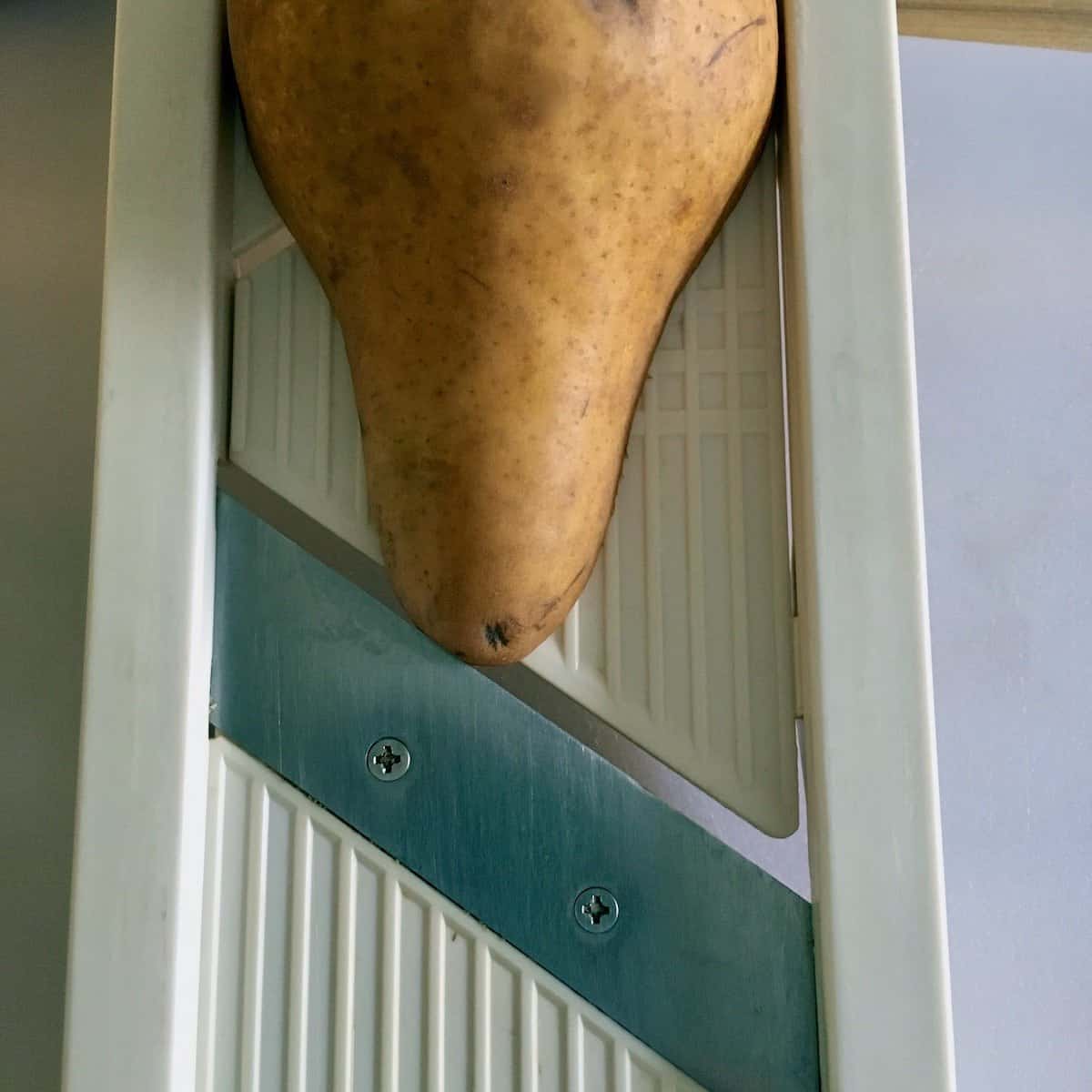 Slicing pear on mandolin.