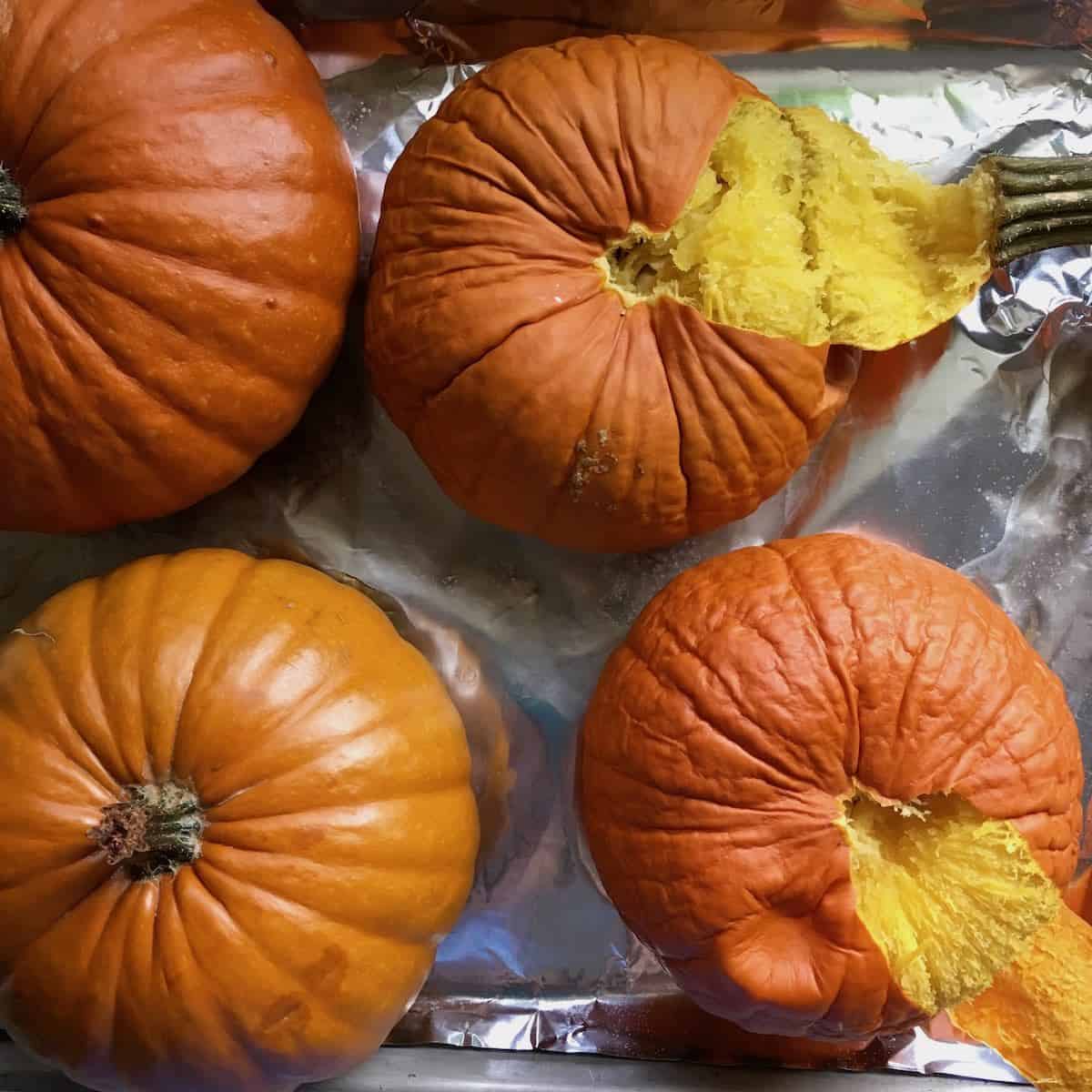 Roasted baby sugar pumpkins.