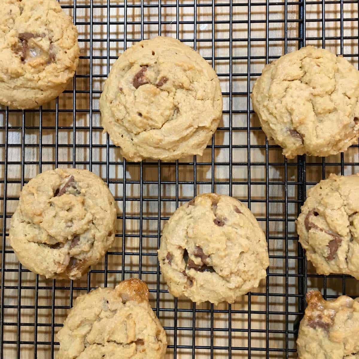 The best snicker-doodles on cooling rack.