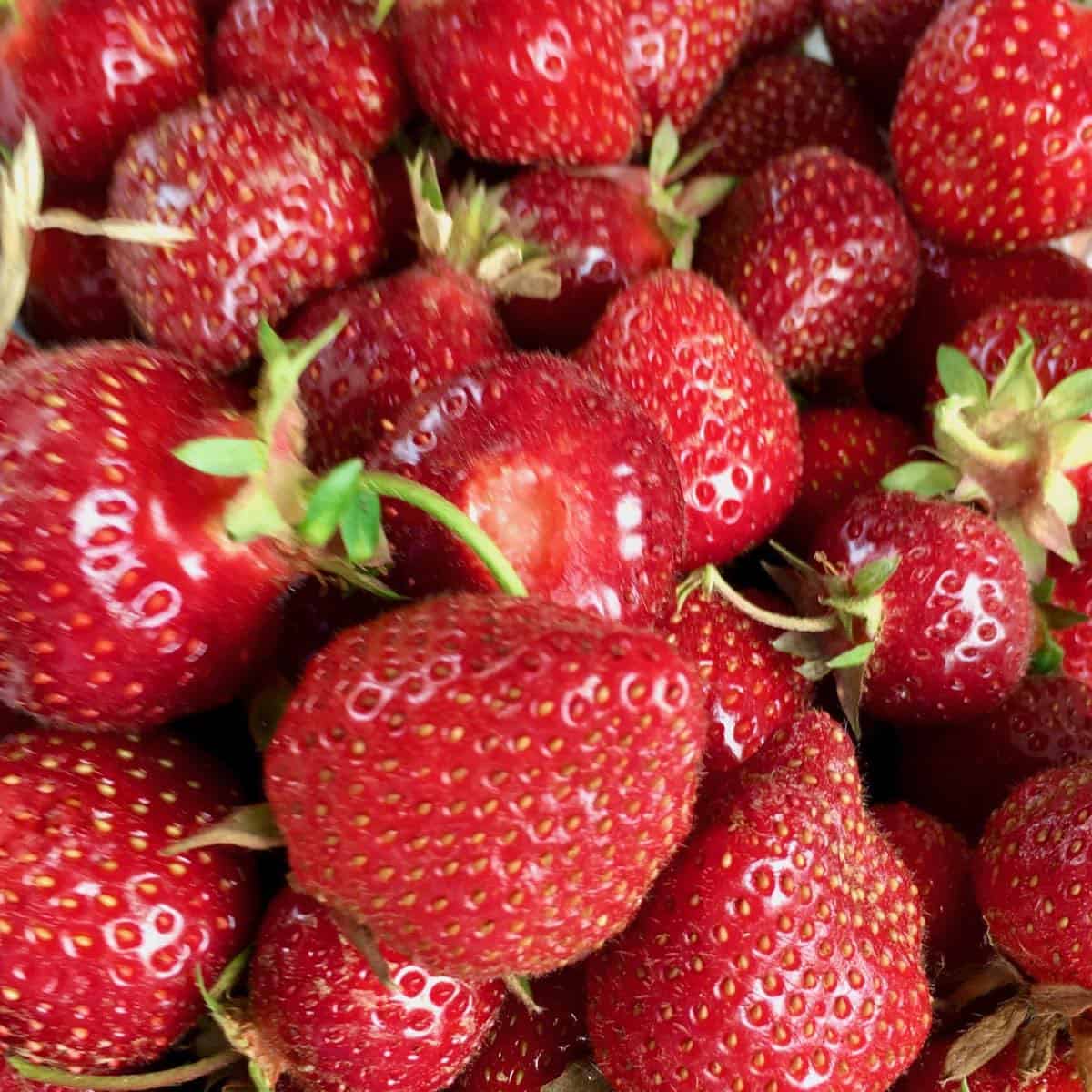 Fresh strawberries for Strawberry Stuffed Sourdough Pancakes.