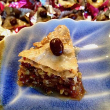 Single piece baklava.
