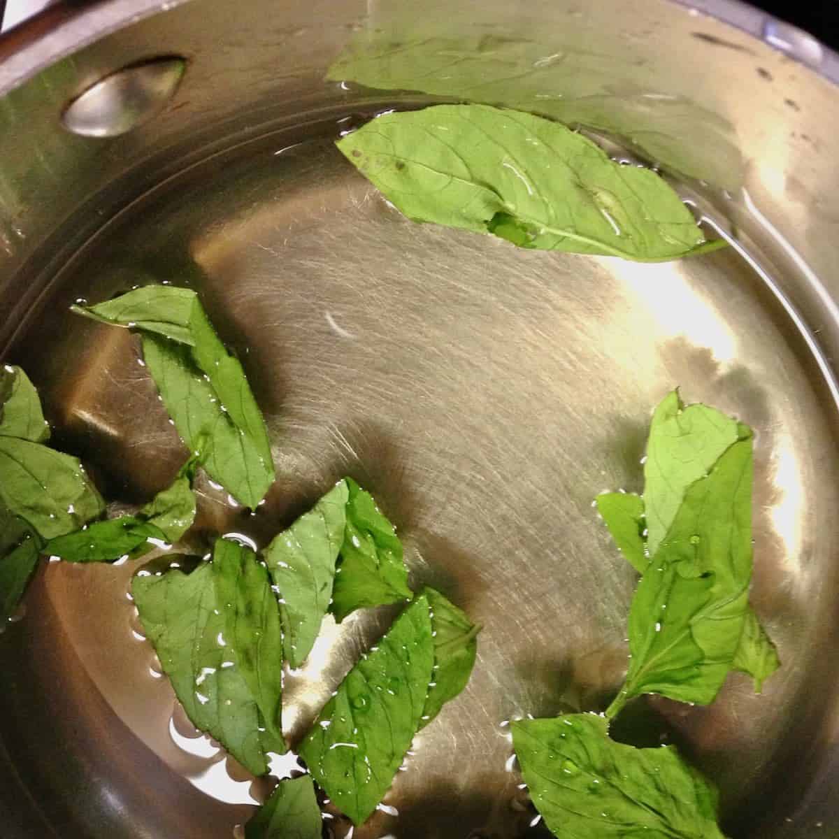 Lemon basil syrup for Most Refreshing Watermelon Drinks.