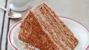Grated bread and chocolate cake slice.