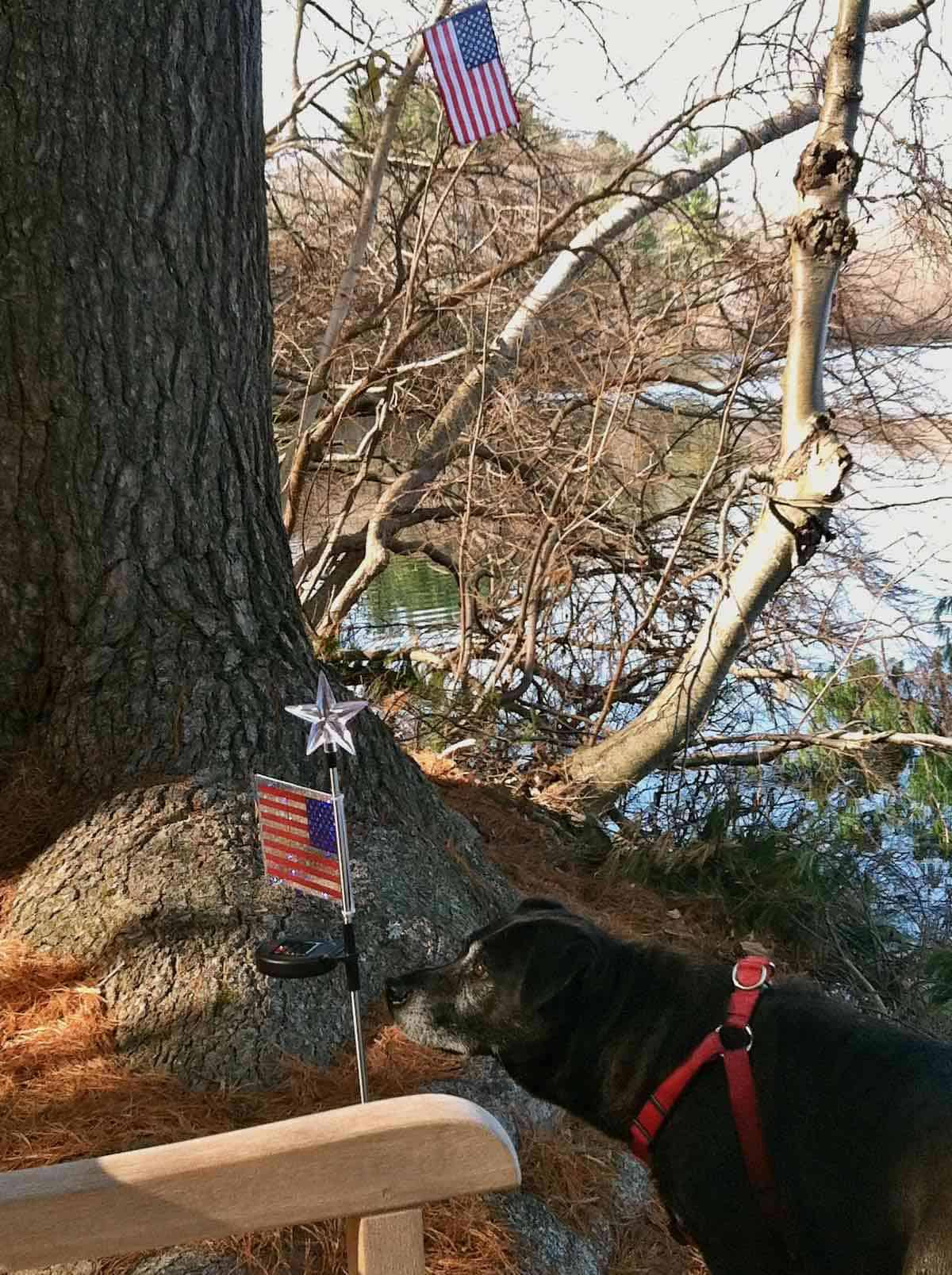 Patriotic decorations at Will's Bench.