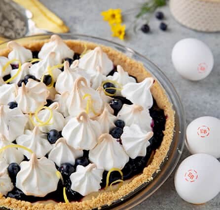 Meringue kissed lemon pudding pie with wild berry jam.