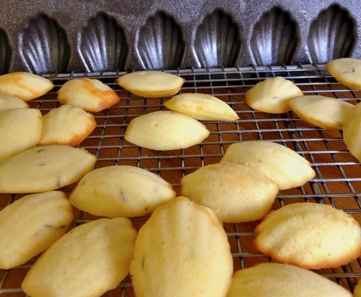 Lemon thyme madeleines on cooling rack with baking pan.