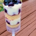 berry push up pop