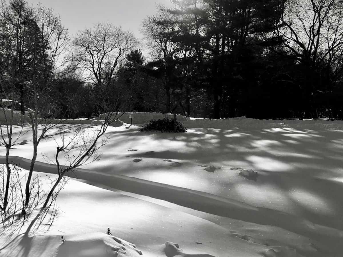 Morning snow shadows.