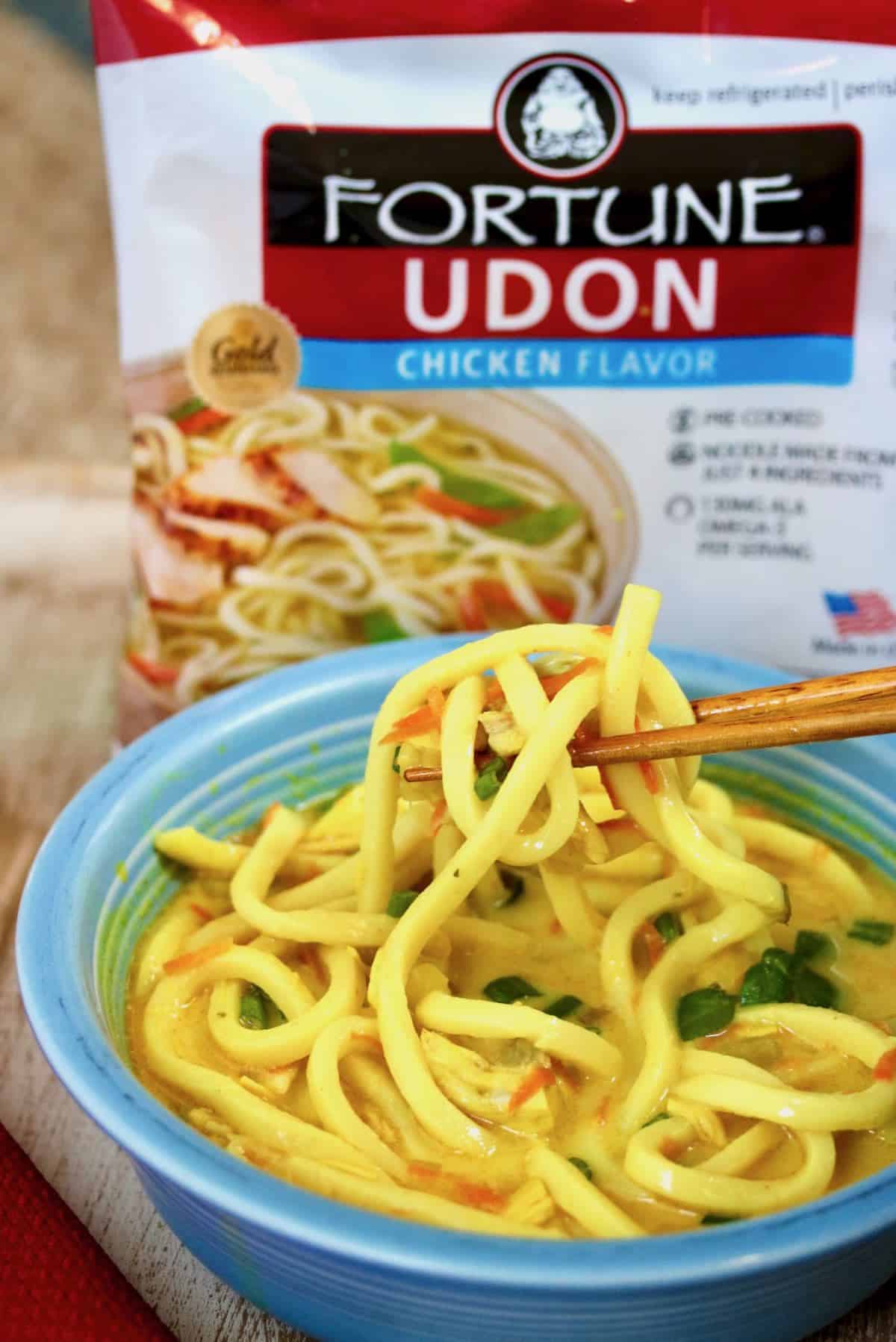 Udon noodle soup.