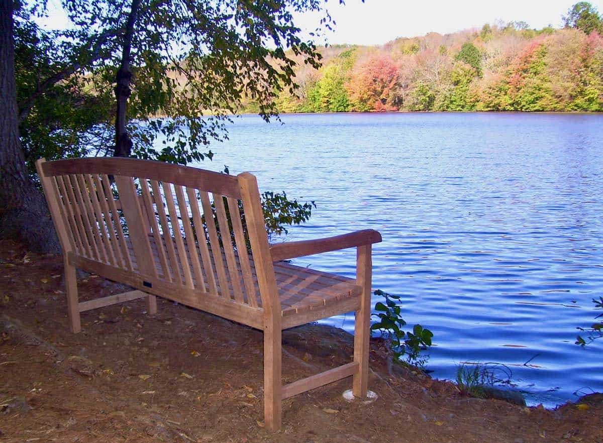 Will's Bench.