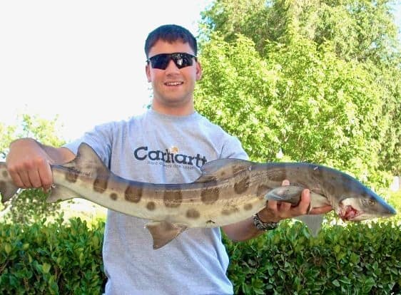 Feast your eyes on Will holding a shark that he caught.