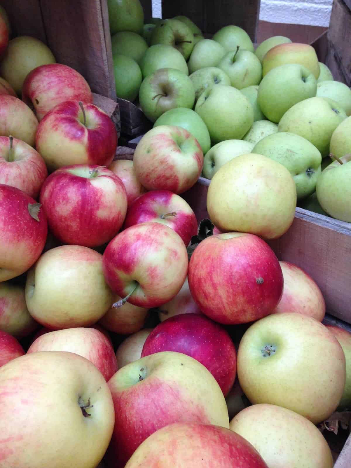 Fresh picked apples make a fantastic fennel apple pie.