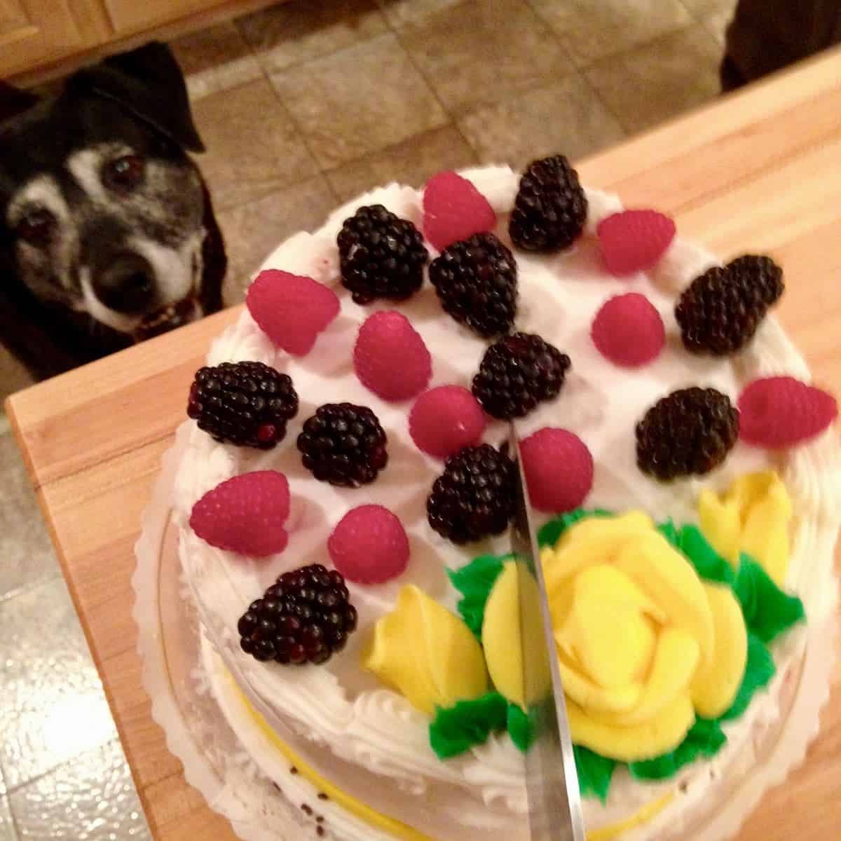 Mom advice: addition of fresh berries-good job Bill.