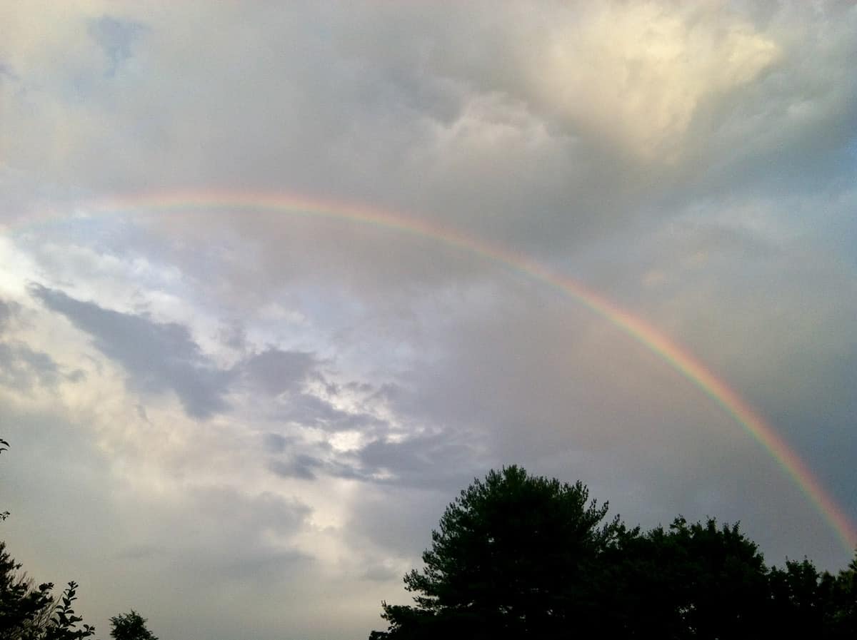 rainbow in sky