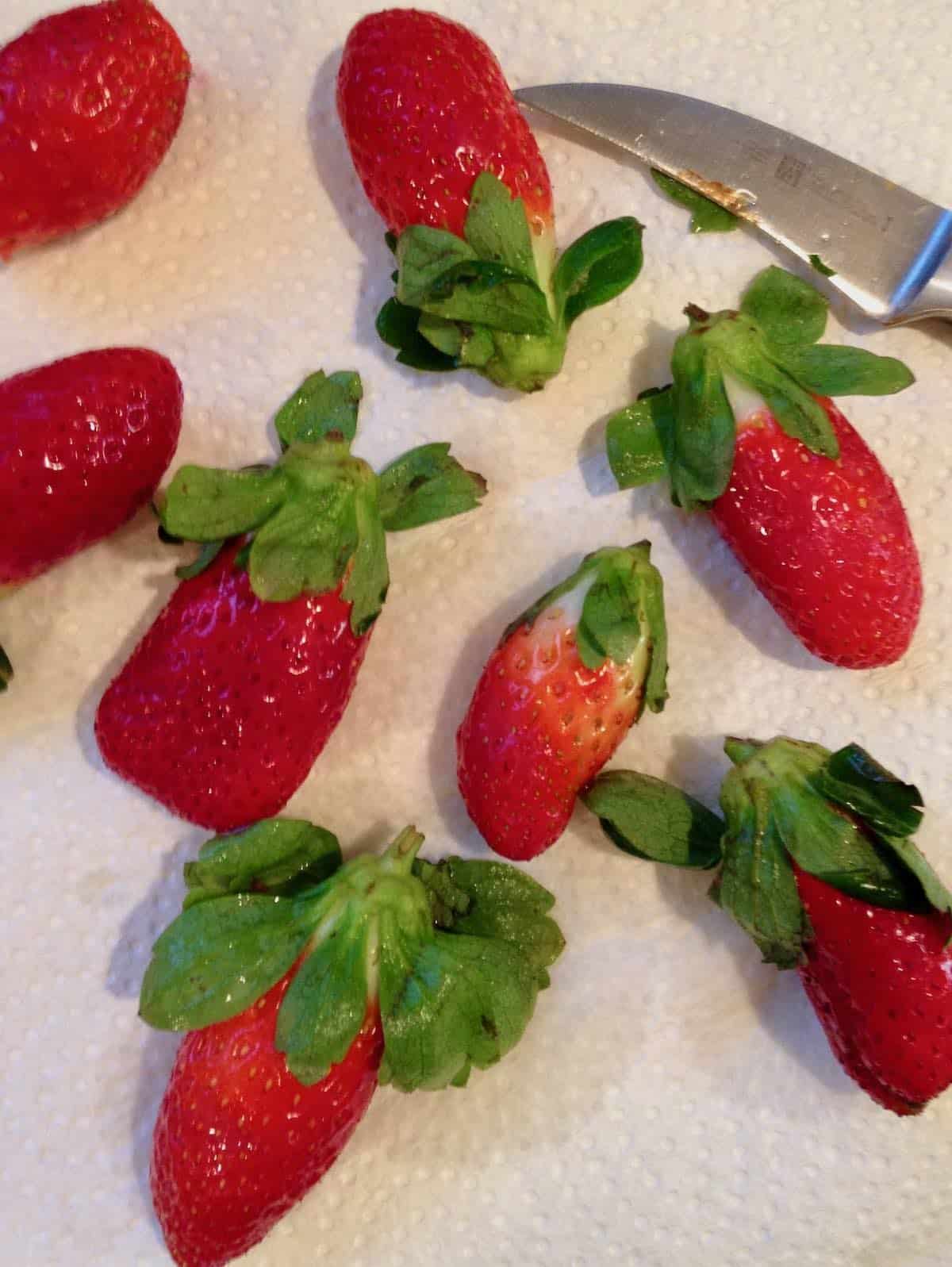 torpedo shaped strawberries from Florida-super sweet