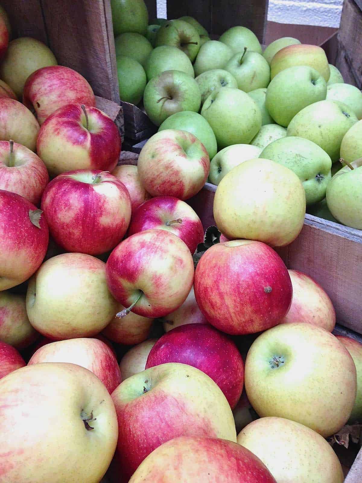 a variety of local farm apples makes the best Cranberry Sausage Stuffed Apples