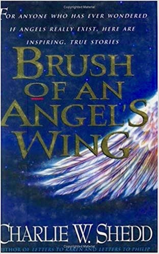 Brush of an Angel's Wing book cover
