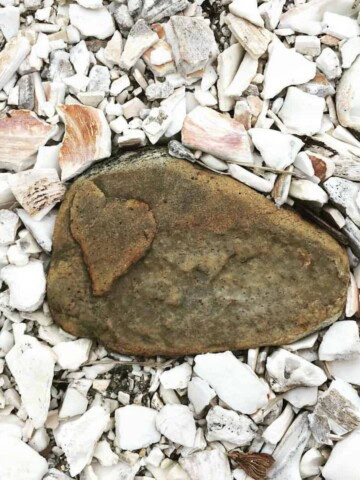 Heart shaped embossed on a rock surrounded by crushed seashells bought us a beach house.