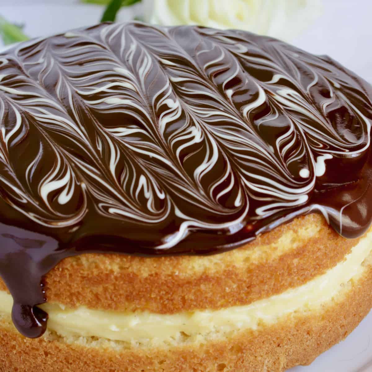 Boston Cream Pie and a white rose.