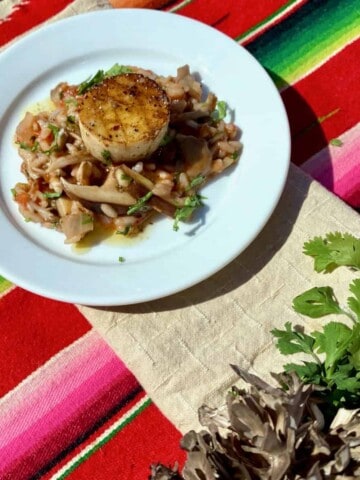 Cantina style mushroom risotto with royal trumpet scallops.
