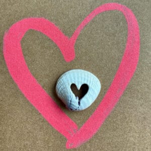 Heart shaped seashell.