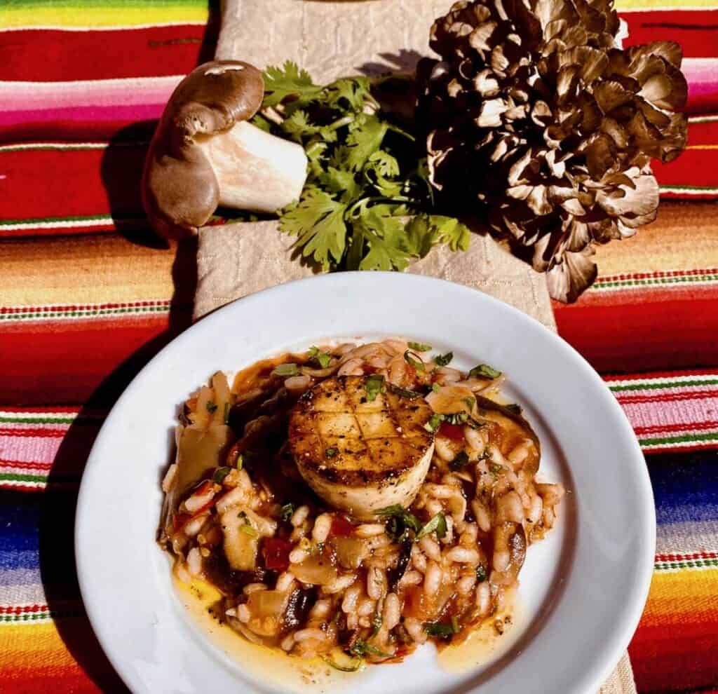 cantina style mushroom risotto with royal trumpet scallops