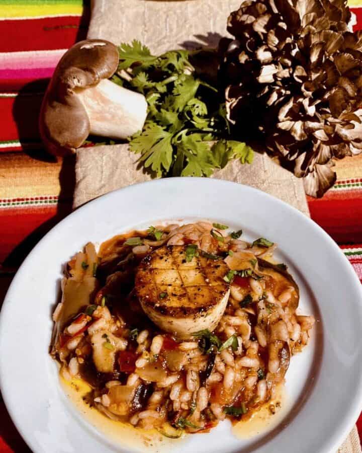 cantina style mushroom risotto with royal trumpet scallops