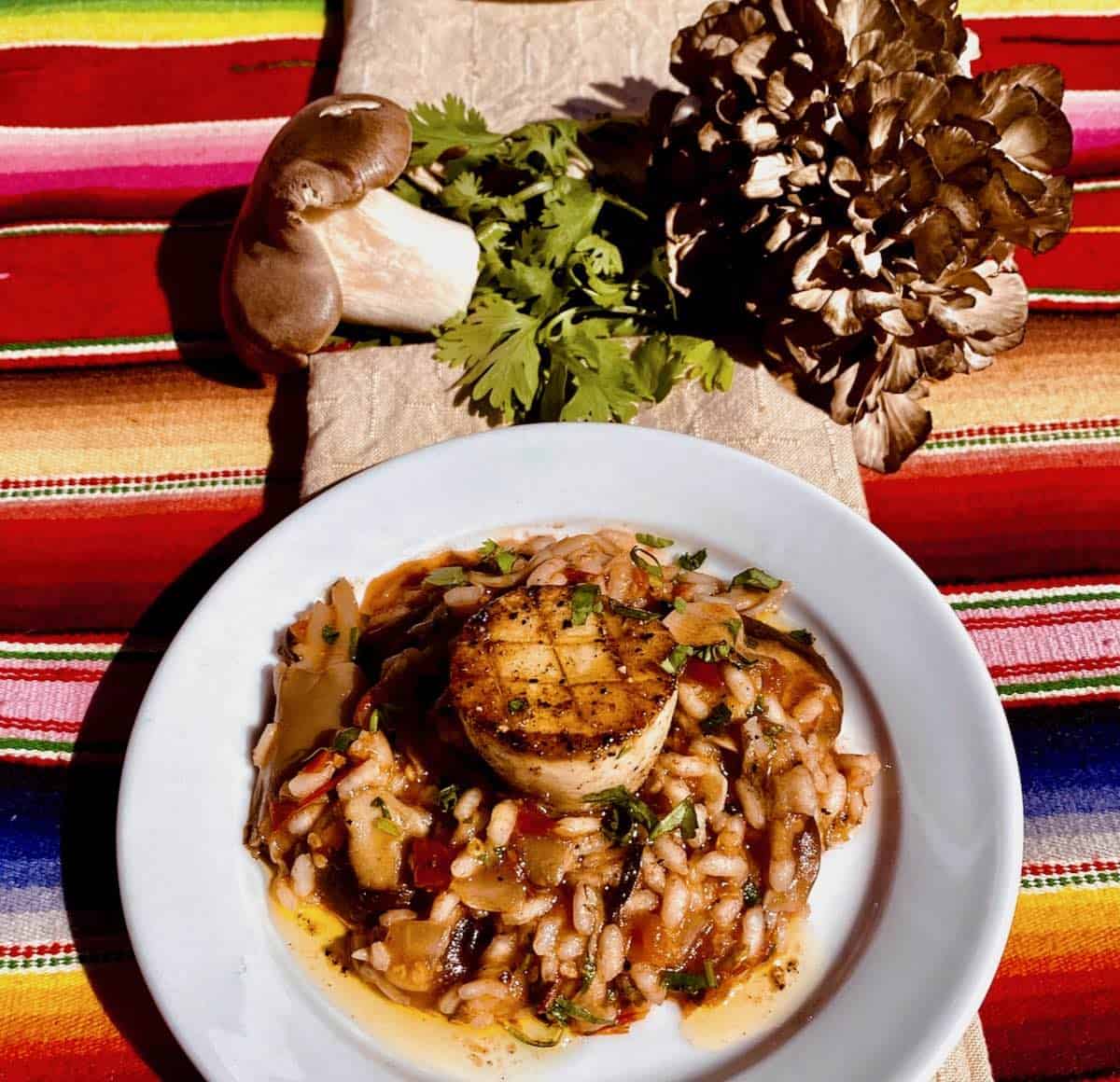 Cantina style mushroom risotto with royal trumpet scallops.