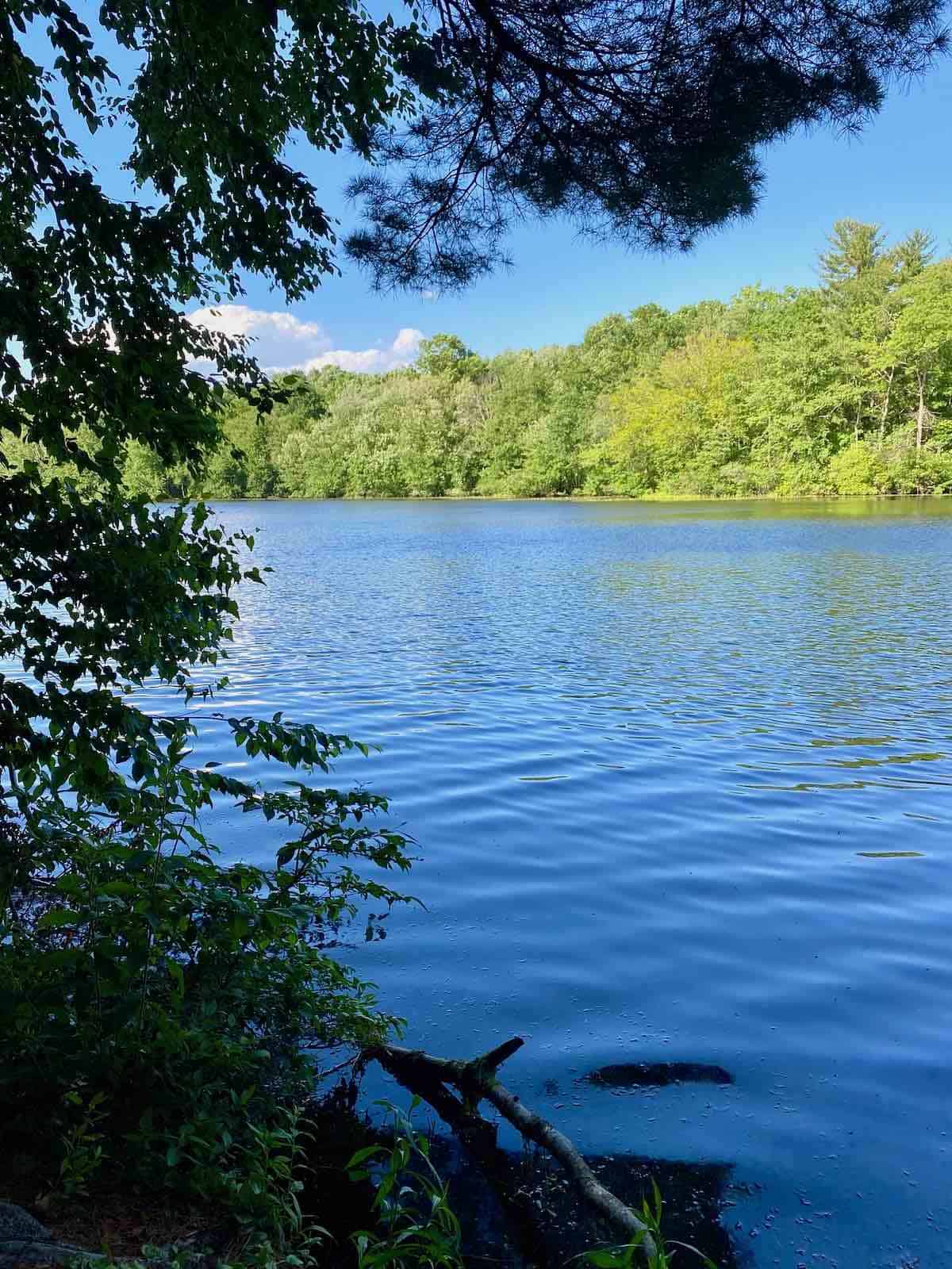 The view of Lake Elise from Will's bench.