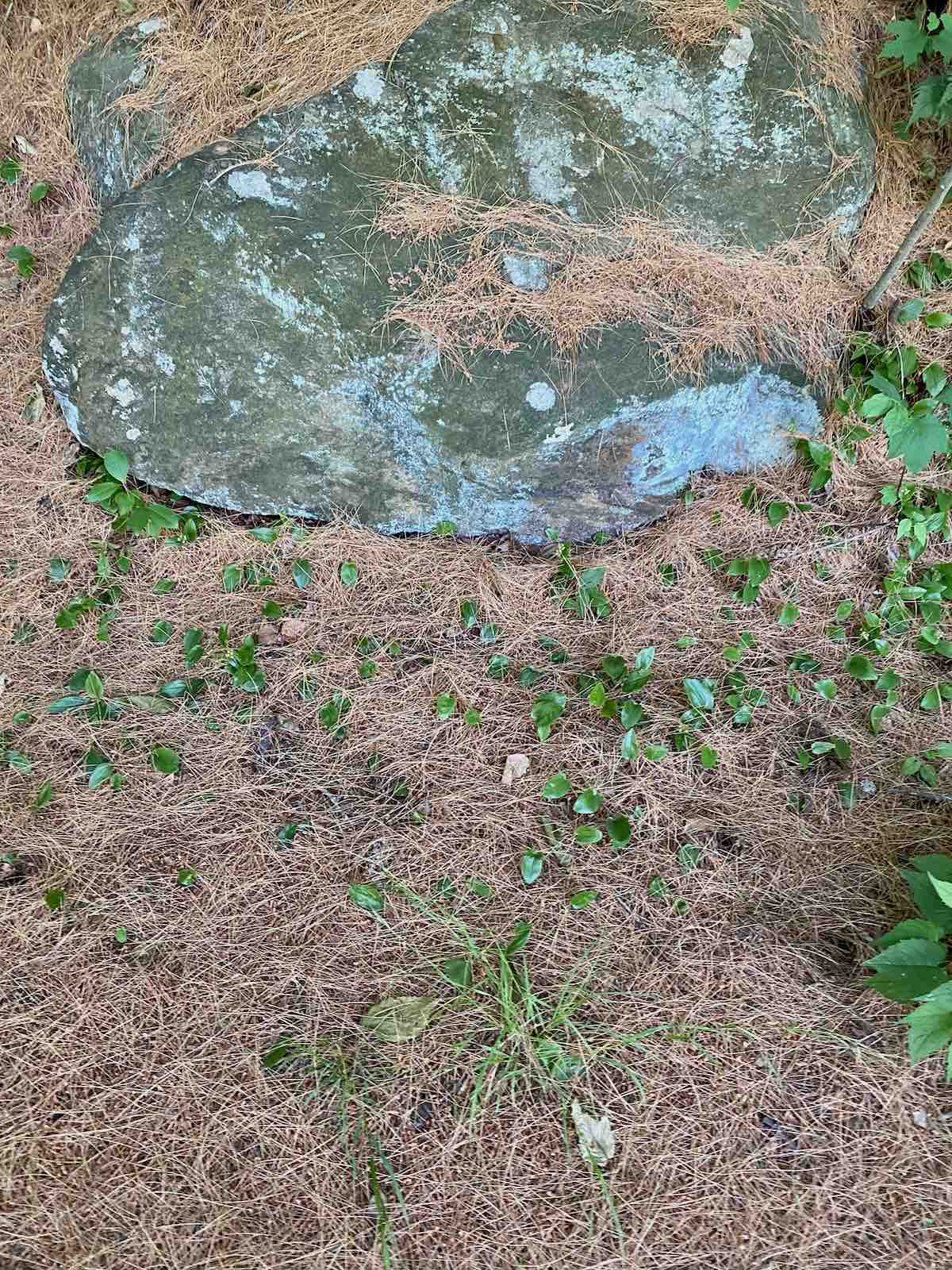 The one needle path to the bench with a lichen covered rock.