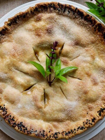 Baked apple pie.