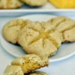 Mango concha cookies