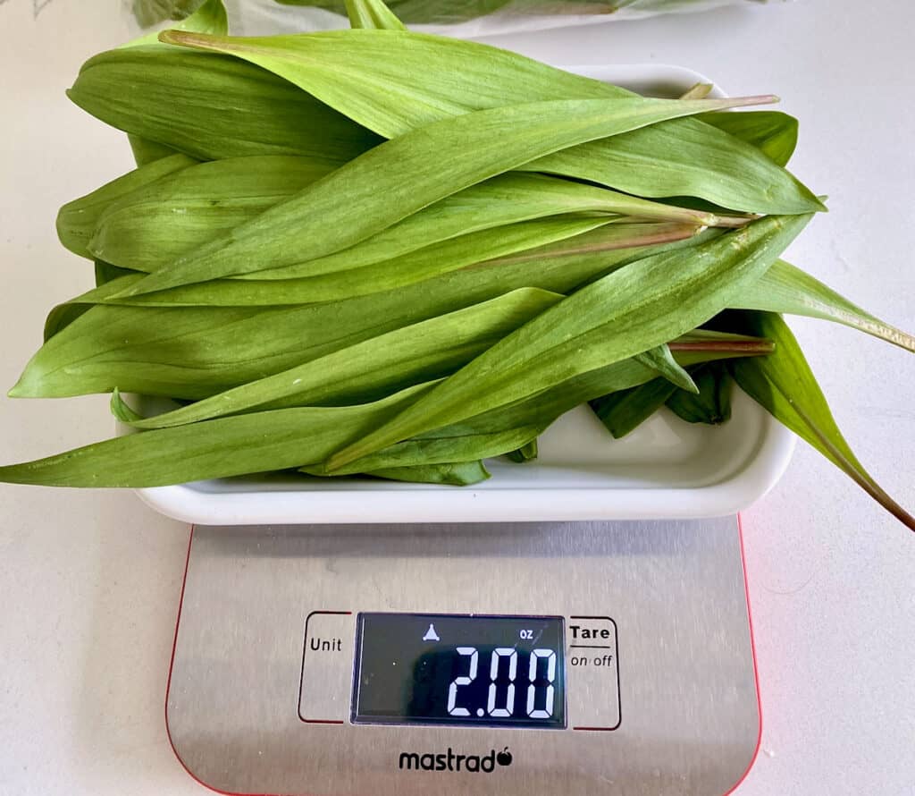 Fresh ramps make the best ramp pasta.