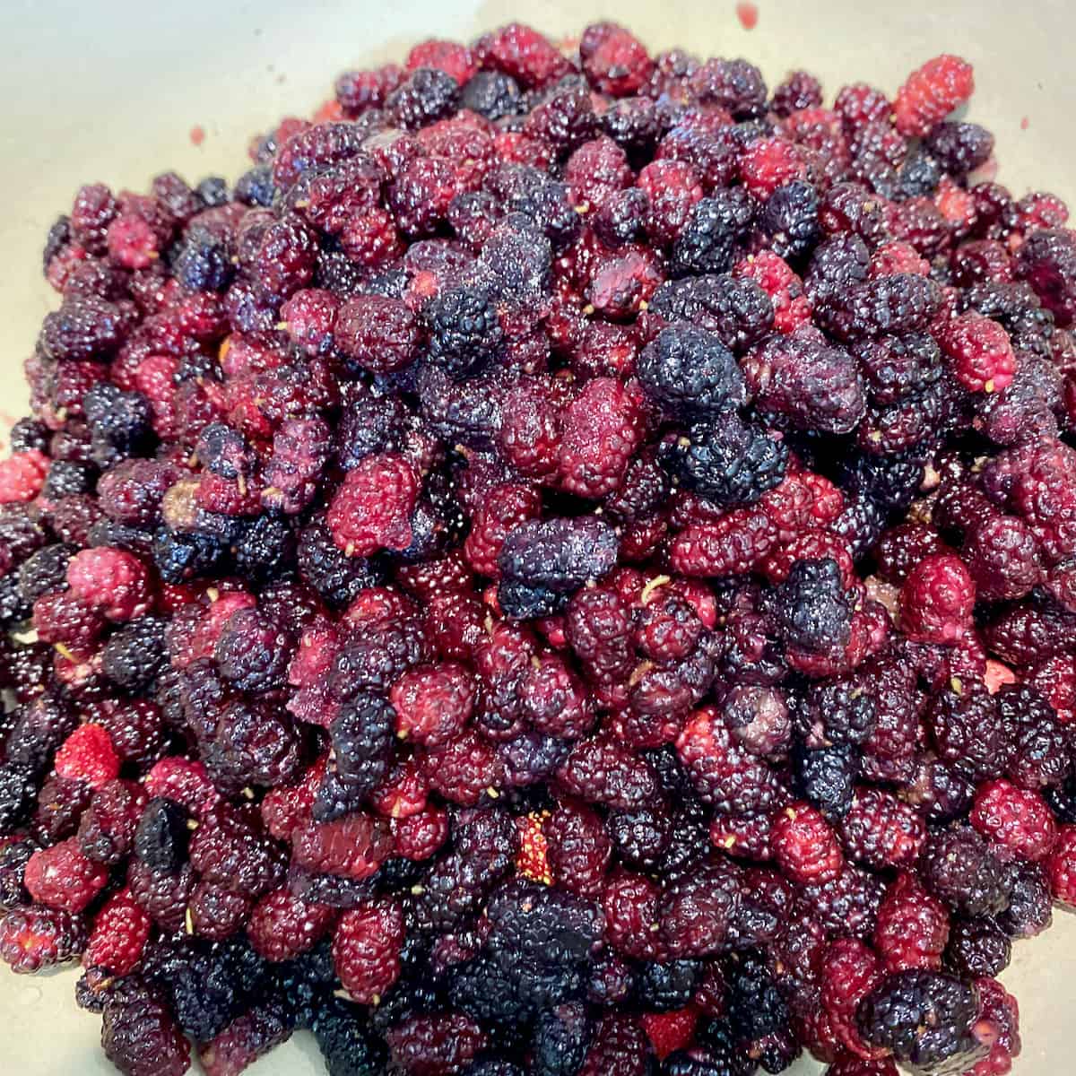 Jam it out with a bowl of fresh mulberries.