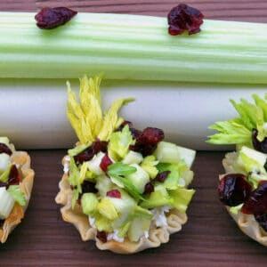 Ants on a log phyllo cups.
