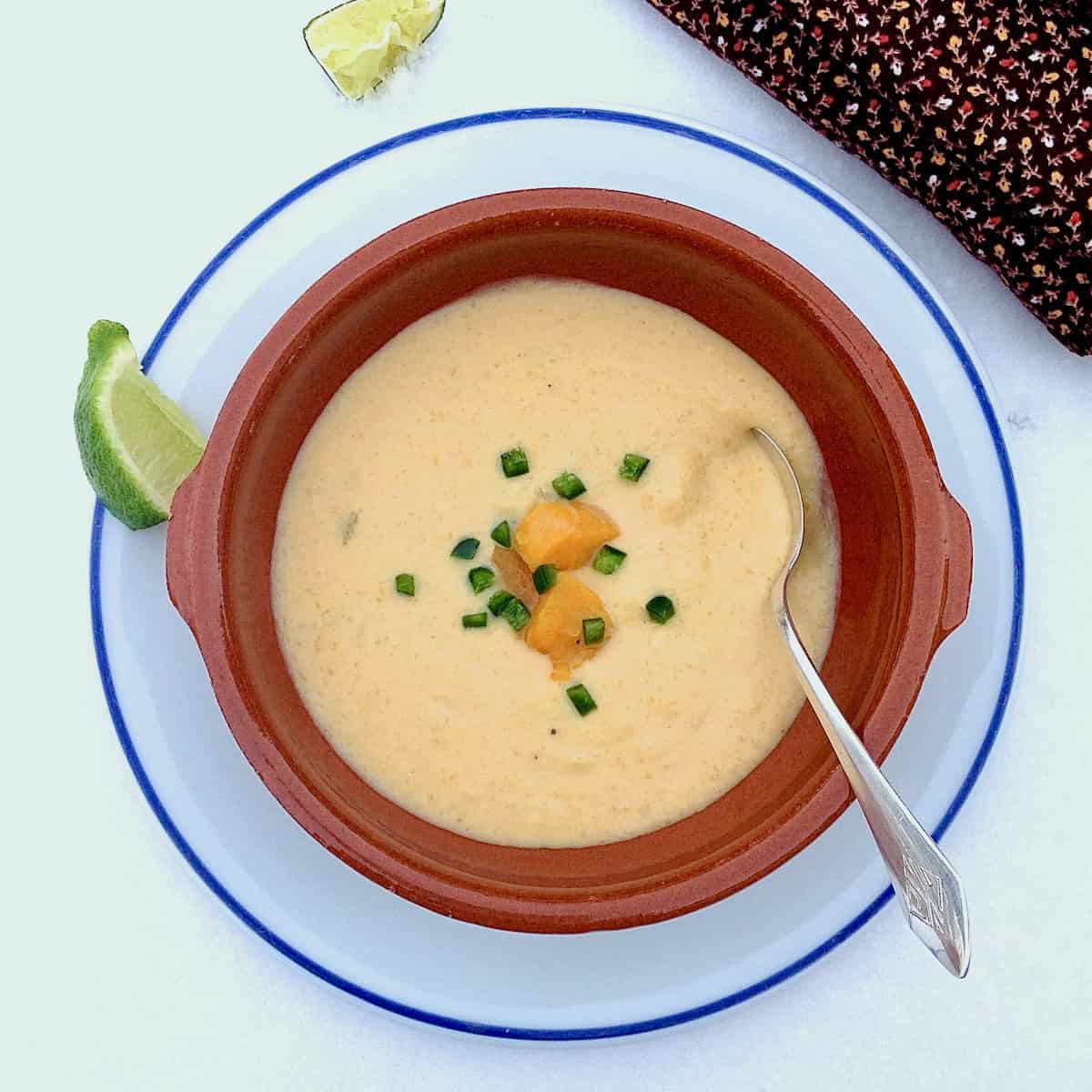 Thai Curry Butternut Squash Bisque