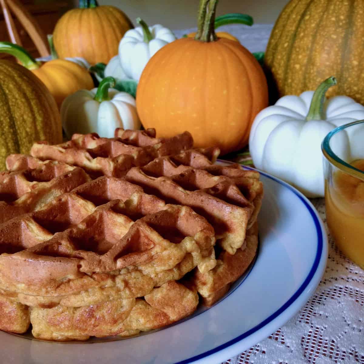 Most Delicious Belgian Waffles with pumpkins.