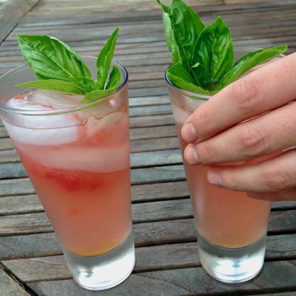 Most Refreshing Watermelon Drinks with basil for two.