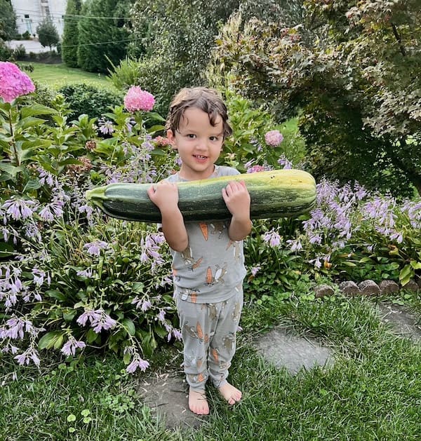 My grandchild holding an extra large harvested zucchini.