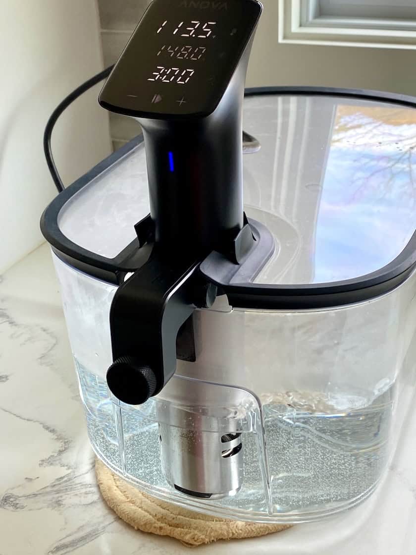 Immersion circulator.