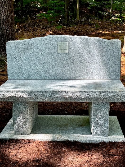 Will's new bench.